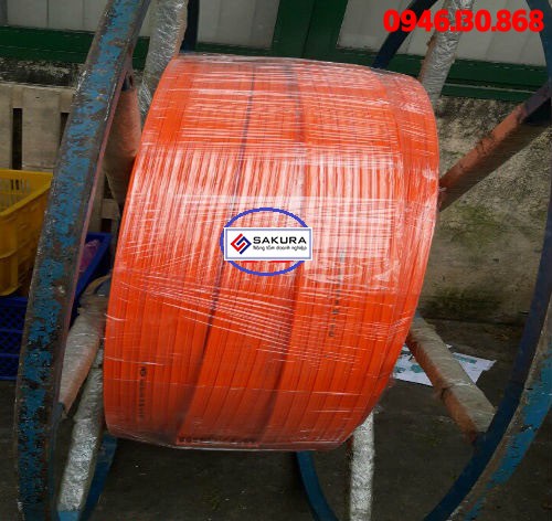 Ray điện cầu trục 6 pha 1 39